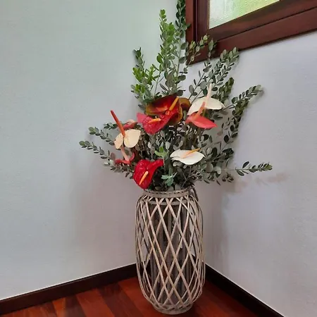 Dr. Cabral Barreto Semesterbostad *