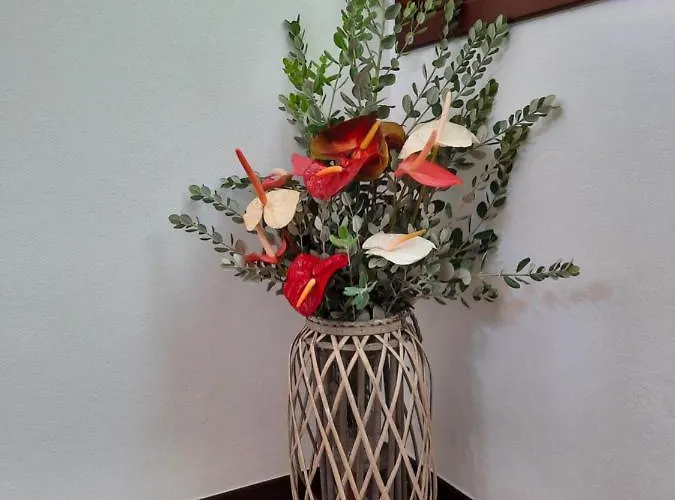 Dr. Cabral Barreto Сasa de vacaciones *