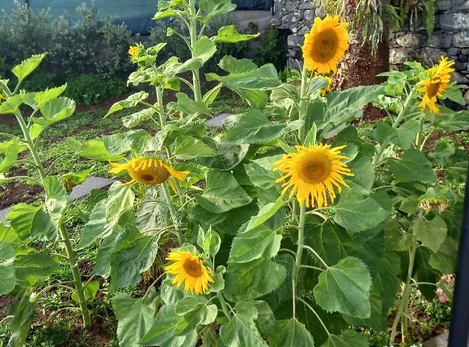 Dr. Cabral Barreto Hébergement de vacances